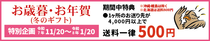 お歳暮・お年賀(冬のギフト) 特別企画 令和7年11/20～令和8年1/20 期間中特典 ※沖縄・離島は除く ※北海道は送料800円 ● 1 か所のお送り先が 4,000 円以上で送料全国一律 500 円